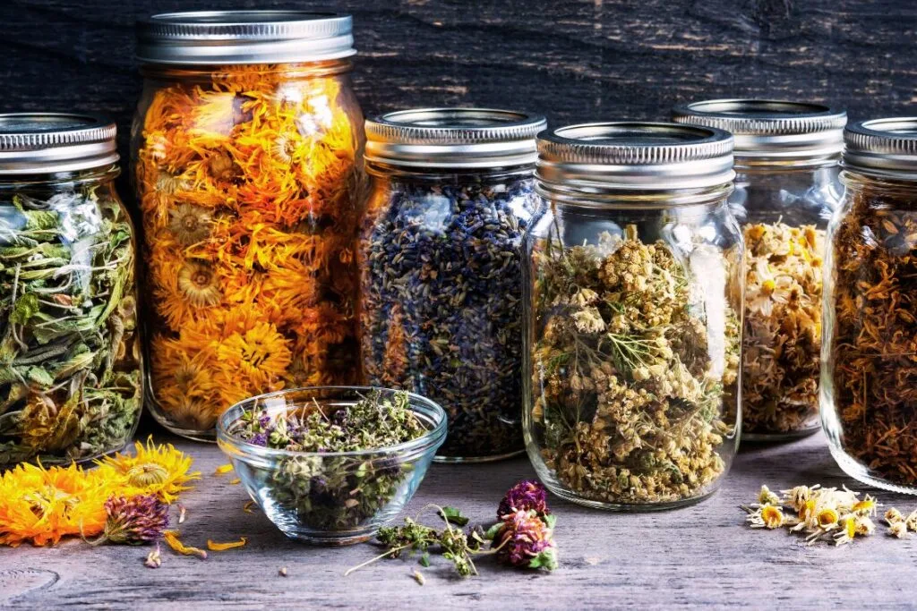 Wholesale Herb Suppliers: Quality Bulk Botanicals
